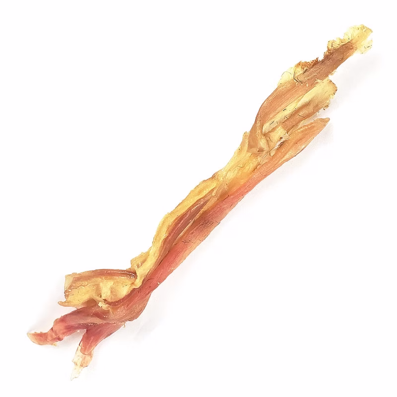 REGULAR TENDON